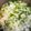soraのした's cooksnap of when they made 簡単！残りご飯で七草粥♪子供も大好き.