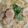pegu0404's cooksnap of when they made 木の葉丼〜なつかし卵どんぶり〜.