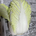 クックH86AFM☆'s cooksnap of when they made 白菜の長持ち保存法.