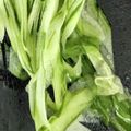 ひぃちゃんひー's cooksnap of when they made 逆に？！簡単キレイ！キュウリの千切り。.