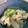 ジェイソンまま's cooksnap of when they made 優しい風味【大根と豚のにんにく白だし煮】.