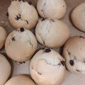 ｓｉ０３０３'s cooksnap of when they made おやつにぴったり♪たまごパン♪発酵なし♪.
