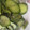 Hightea1's cooksnap of when they made すし酢で簡単！きゅうりの酢の物.