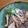 ざじよ's cooksnap of when they made 年越しそばに♪ゴマ香る～鶏肉と舞茸の蕎麦.