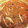 ともユメ's cooksnap of when they made トマト大量消費！ミートソース♪.