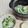 umemodoki's cooksnap of when they made 土鍋で美味しい☆七草粥.