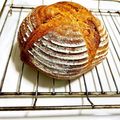 カロイ子's cooksnap of when they made 全粒粉多目のカンパーニュ.