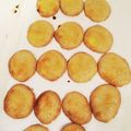 クックDQ05G6☆'s cooksnap of when they made ドイツのクリスマスクッキー.