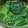 ＋SUN3's cooksnap of when they made ほうれん草のお浸し.