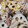 クックHBQ370☆'s cooksnap of when they made 豚とれんこんきのこのガリぽん炒め.