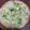 みっちゃんの娘's cooksnap of when they made 炊いたご飯で☆簡単☆10分で七草粥.