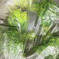 プルンバゴ's cooksnap of when they made ブロッコリー 洗い方.