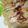 クック6DDPP8☆'s cooksnap of when they made もやし棒餃子.