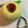 ちゃーりーWKY's cooksnap of when they made 私的☆梨やリンゴの皮の剥き方.