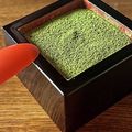 りりこ☆彡's cooksnap of when they made 30分で 簡単 抹茶ティラミス.