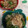 赤い電話's cooksnap of when they made きゅうりとちくわの梅おかか和え.