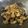 papikun's cooksnap of when they made おかわりが止まらない！ゴーヤの佃煮.