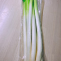 のんべぇヒロ's cooksnap of when they made 新鮮長持ち♡長葱と小葱の長期保存.