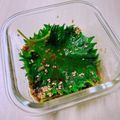 のんべぇヒロ's cooksnap of when they made 大葉♡韓国風漬け～♡やみつきになる辛さ♬.