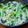 さちへ♪'s cooksnap of when they made 作り置き☆こまつなとえのきのおひたし.