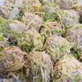 なないろの雪's cooksnap of when they made レンジでキャベツの花シュウマイ.