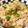 クックG1CG0C☆'s cooksnap of when they made ☆煮魚DE混ぜごはん☆.