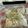 yoken201's cooksnap of when they made 白菜の冷凍保存♫.