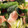 クックG1CG0C☆'s cooksnap of when they made 残り野菜で 蒸し野菜 (フライパンで).