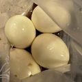 トドこ's cooksnap of when they made めんつゆだけで！煮卵風★味付け卵.