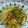 クックWZ3WQY☆'s cooksnap of when they made 白菜と鶏肉の卵とじ.