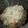 つぽんず's cooksnap of when they made 離乳食後期✱しらすとわかめの炊き込みご飯.
