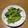 クックchitann's cooksnap of when they made にらのごま和え～ごま和えの基本～.