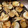 ♡mio1216♡'s cooksnap of when they made 長いもとえのきのバター炒め.