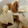 snow012's cooksnap of when they made 簡単♬余ったつるし柿で酢の物◎.