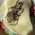 狸の尻尾's cooksnap of when they made 塩昆布と蜂蜜の甘じょっぱ餅.