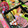 TOMOまる◉U◉'s cooksnap of when they made お重を使ってワンプレートお節！.