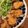 〈＊HATO＊〉's cooksnap of when they made 冷めても美味しいソースカツ【下味冷凍】.