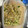 さのってぃ's cooksnap of when they made 火を使わないきゅうりともやしのナムル.