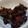 心と空's cooksnap of when they made 食べやすい！コリコリ肉　鉄分補給！.