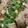 クックM20B8P☆'s cooksnap of when they made 塩もつ鍋【化学調味料不使用】.