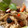mantacarp's cooksnap of when they made 簡単！旨味たっぷり！タコの炊き込みご飯.