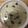 かおり♡♡♡'s cooksnap of when they made 特別な日に♪きのこのクリームスープ.