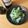 pali's cooksnap of when they made ブロッコリーとクリチのおかか和え.