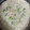 クック8FWSKA☆'s cooksnap of when they made 簡単！オススメ！牡蠣と白菜のチャウダー.