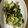 べあーるぶい's cooksnap of when they made にらと豚こまと卵のオイスターソース炒め.