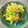 azbjbn's cooksnap of when they made 長ネギの青い部分でニラ玉ならぬネギ玉.