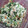 はなもいわ's cooksnap of when they made 栄養満点＊我が家のほうれん草の白和え.