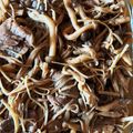 ゆゆみみさん's cooksnap of when they made 【農家のレシピ】牛肉ときのこの旨煮.