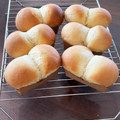 だんこいもころ's cooksnap of when they made コーンミール入りディナーロール.