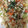 xyzクック's cooksnap of when they made 蕪の皮とひじきのガーリックコチュマヨ炒飯.